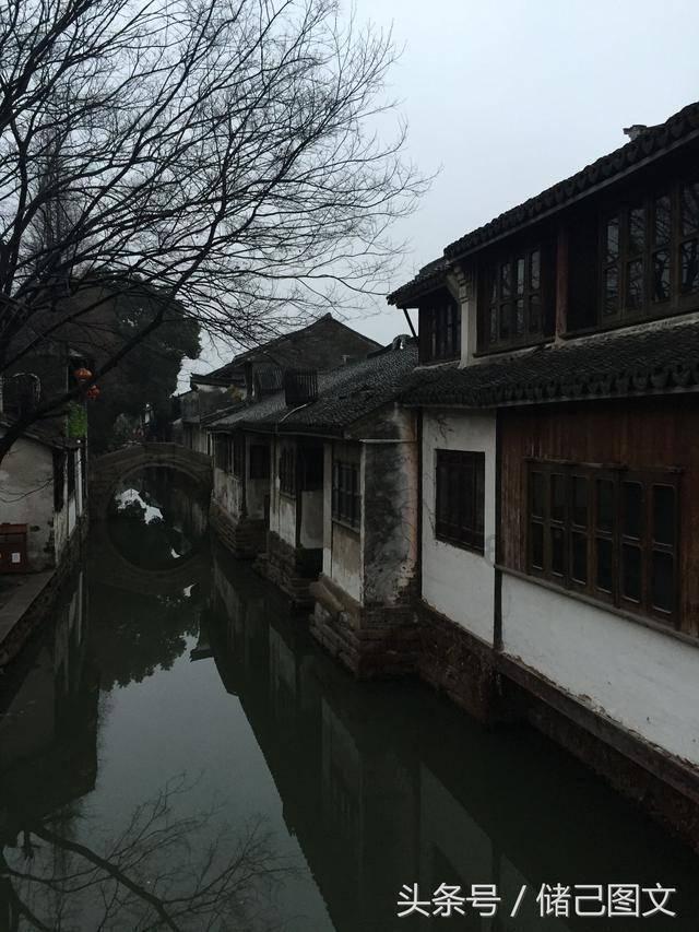 逗小猴开心系列173